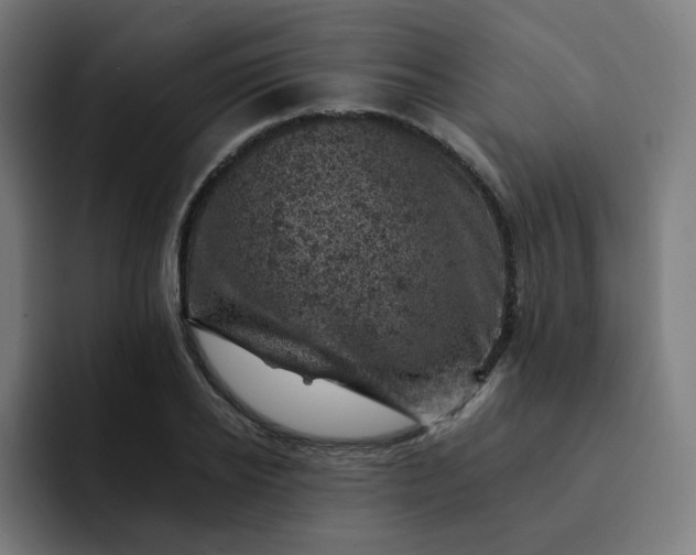 X0000093170934200710101210