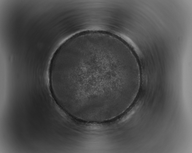 X0000093170935200710101210