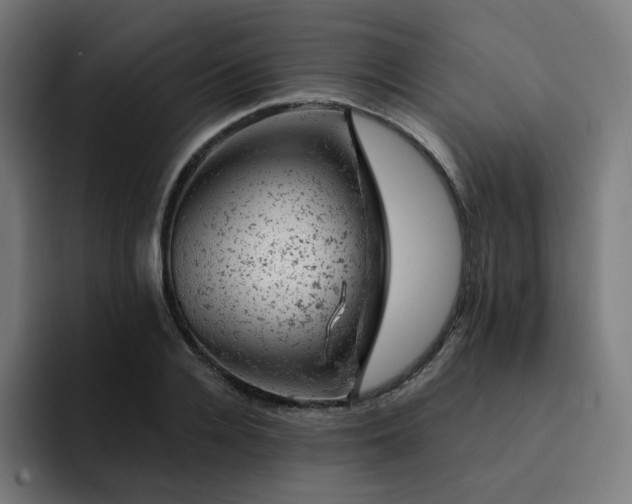 X0000093170936200710101210