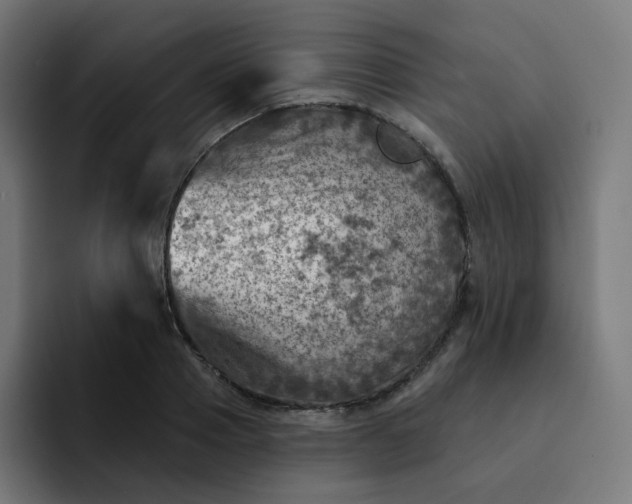 X0000093170937200710101210