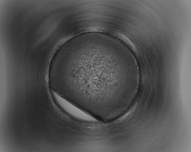 X0000093170938200710101210