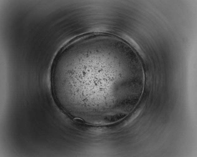 X0000093170939200710101210