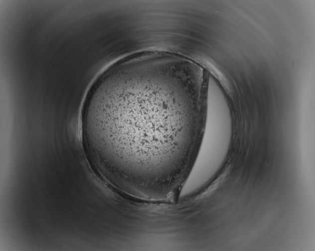 X0000093170940200710101210