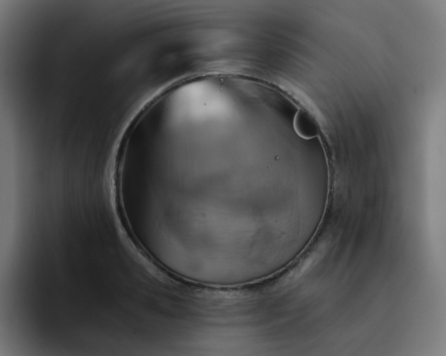 X0000093170941200710101210