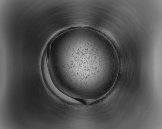 X0000093170942200710101210