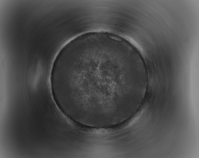 X0000093170943200710101210