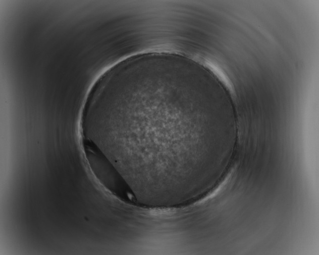 X0000093170944200710101210