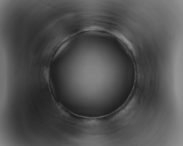 X0000093170945200710101210