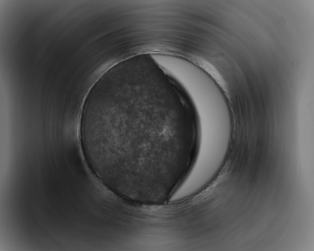 X0000093170946200710101210