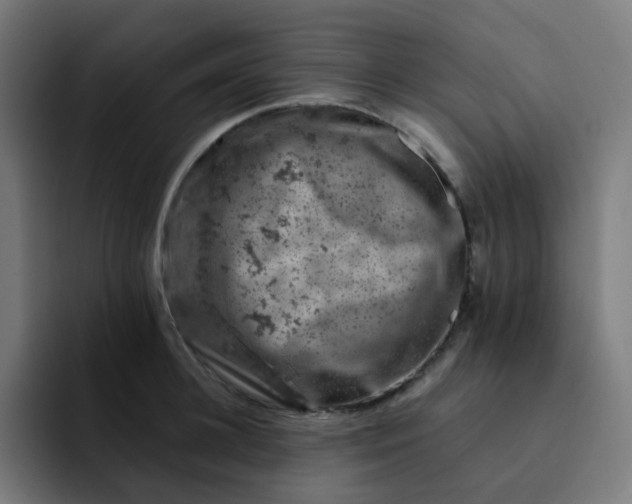 X0000093170948200710101210