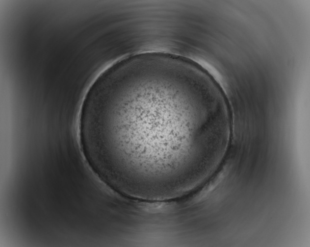 X0000093170949200710101210