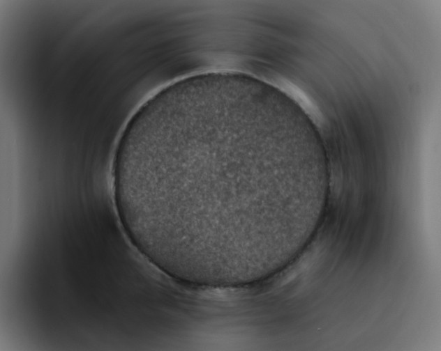 X0000093170950200710101210