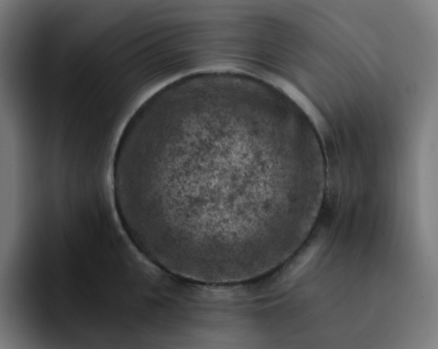 X0000093170951200710101210