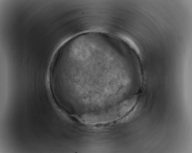 X0000093170952200710101210