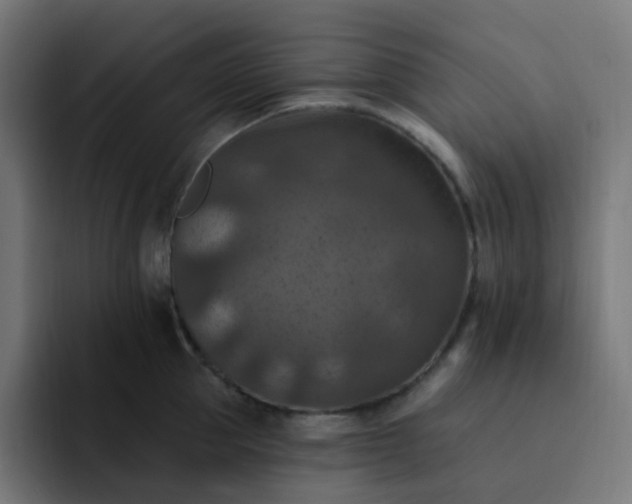 X0000093170953200710101210