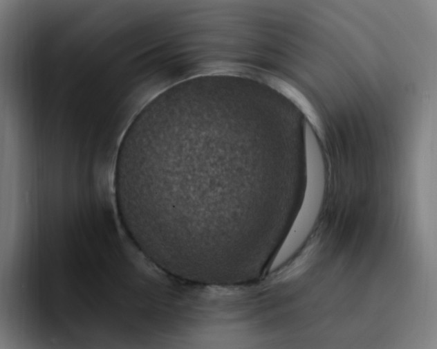 X0000093170954200710101210