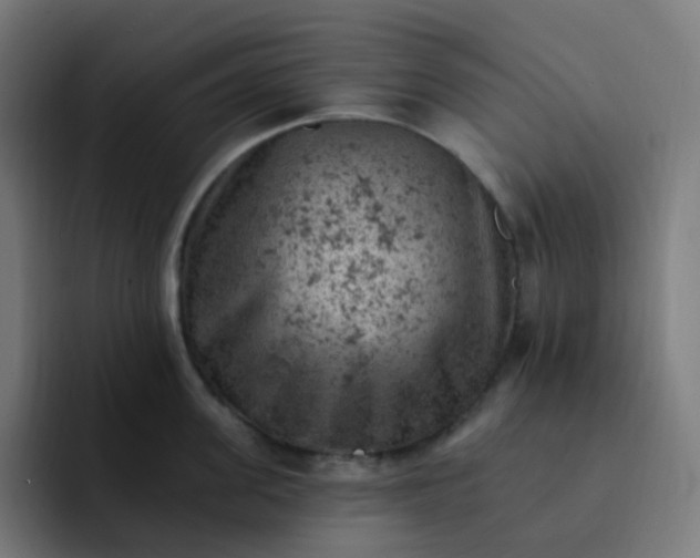 X0000093170955200710101210