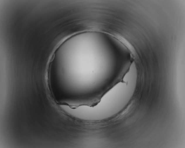 X0000093170956200710101210
