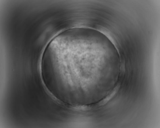 X0000093170957200710101210