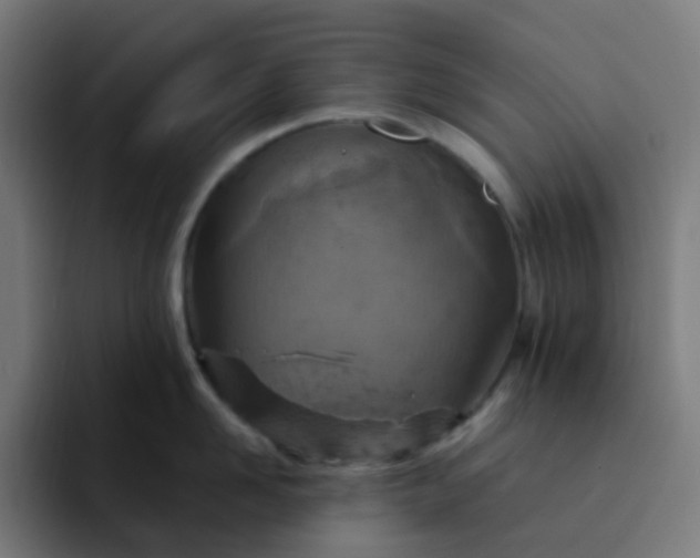 X0000093170958200710101210