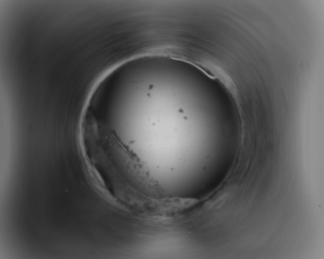 X0000093170960200710101210