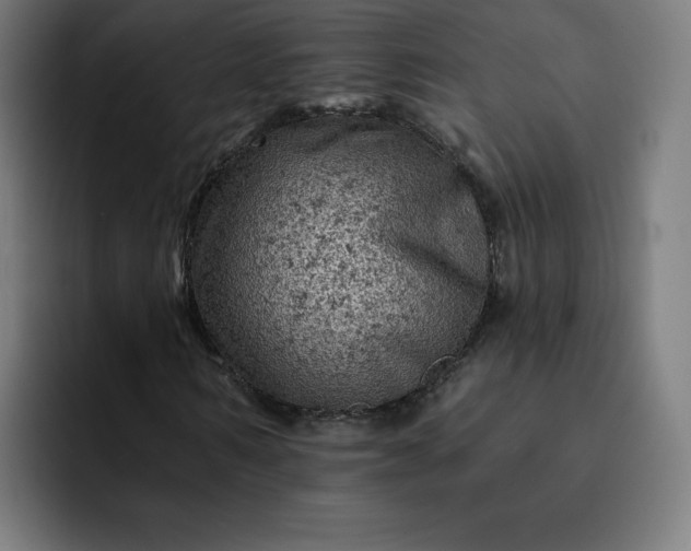 X0000093170962200710101209