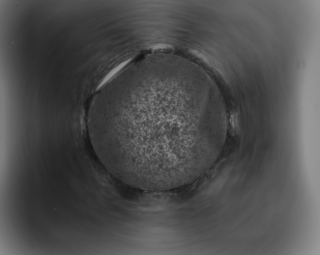 X0000093170963200710101209