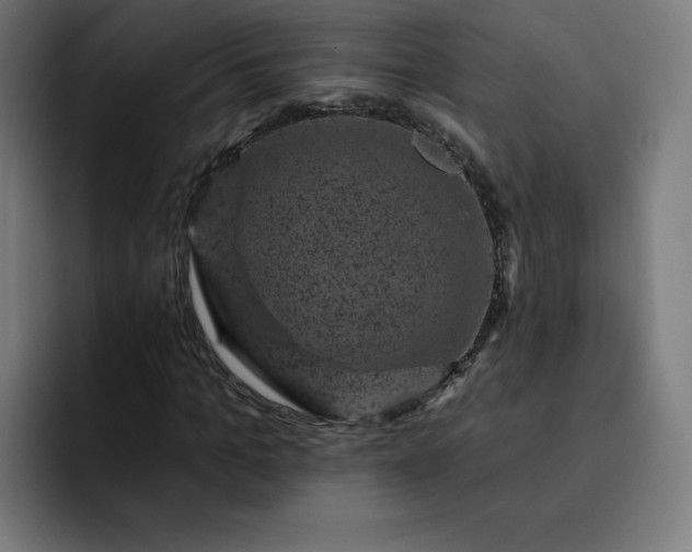 X0000093170965200710101209
