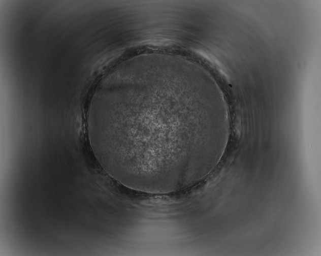 X0000093170966200710101209