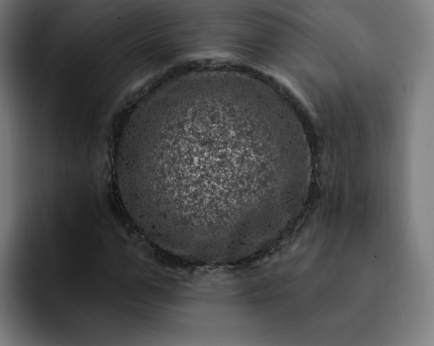 X0000093170967200710101209