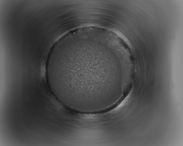 X0000093170969200710101209