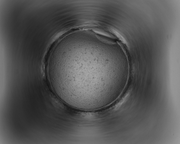 X0000093170970200710101209