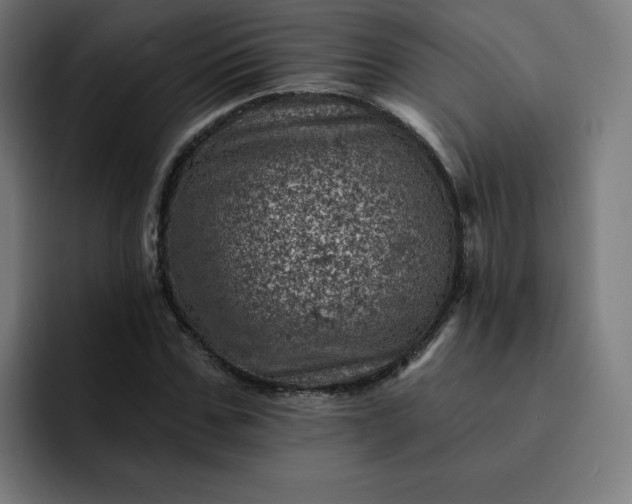 X0000093170971200710101209