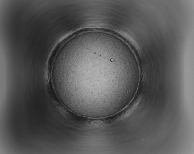 X0000093170974200710101209