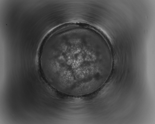 X0000093170975200710101209