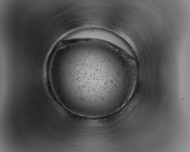 X0000093170976200710101209