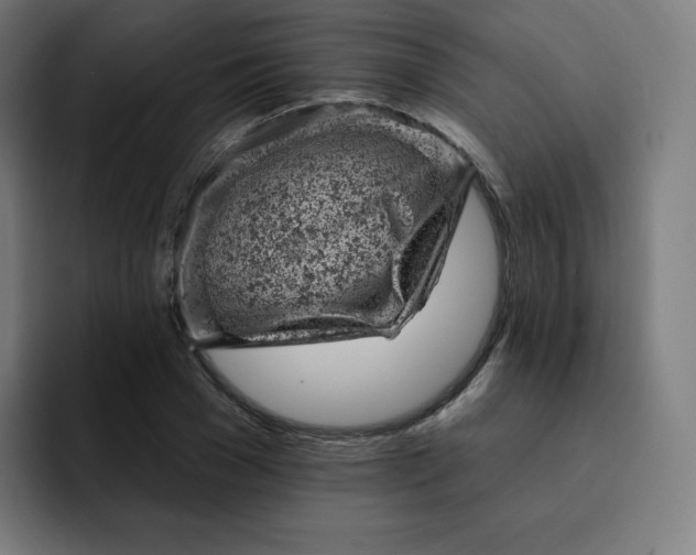 X0000093170977200710101209
