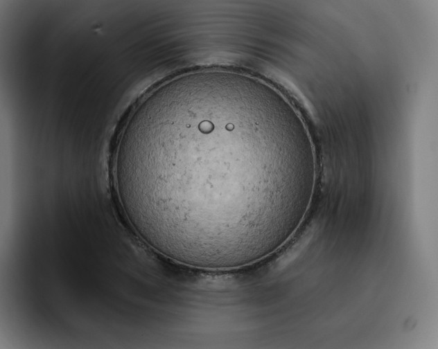 X0000093170978200710101209