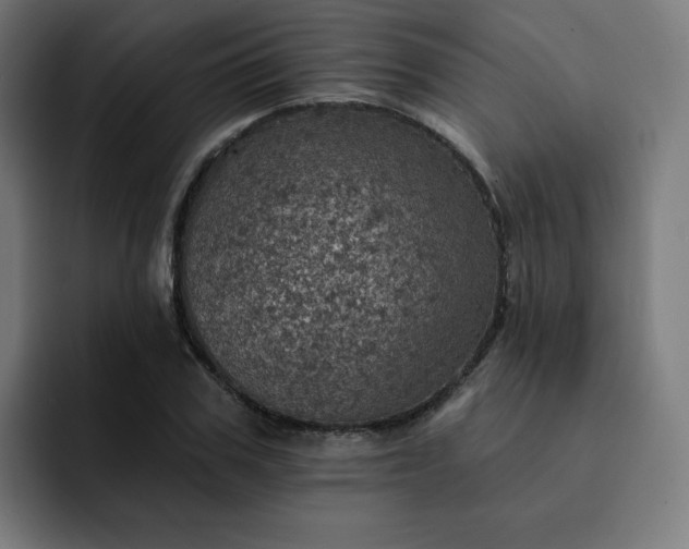 X0000093170979200710101209