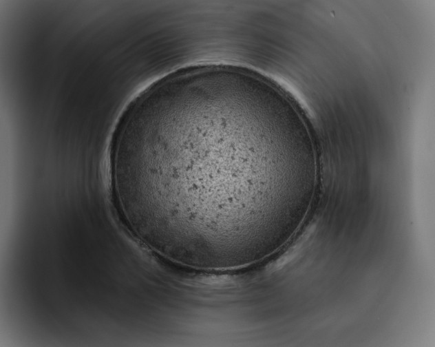 X0000093170982200710101209