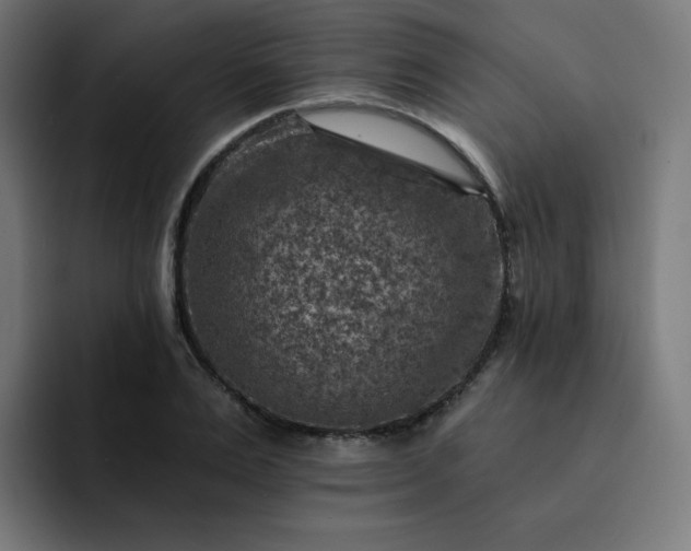 X0000093170983200710101209