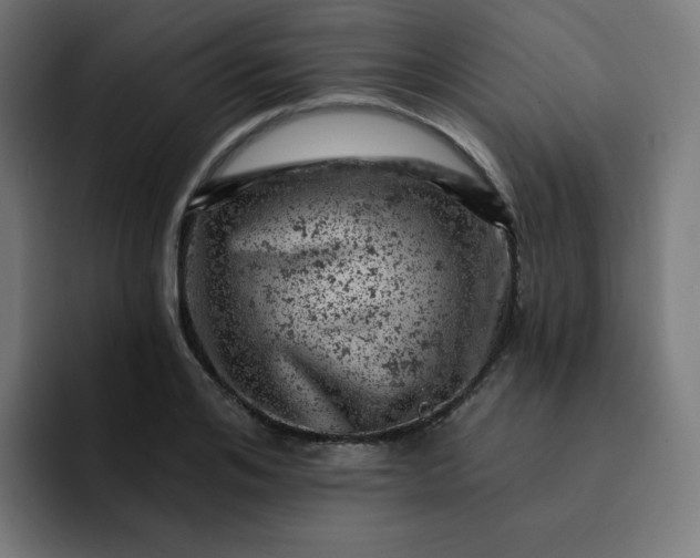 X0000093170984200710101209