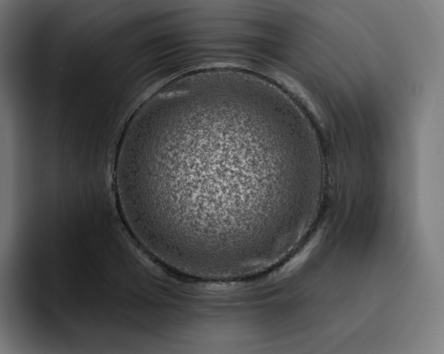 X0000093170985200710101209