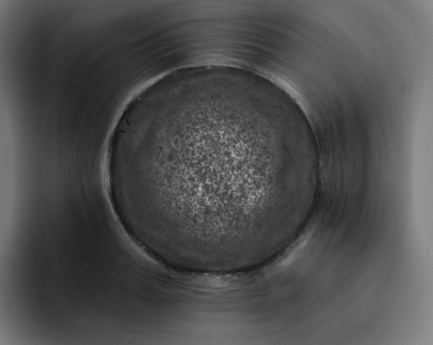 X0000093170987200710101209