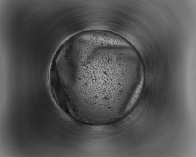 X0000093170988200710101209