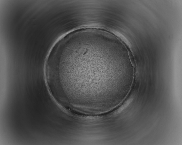 X0000093170989200710101209