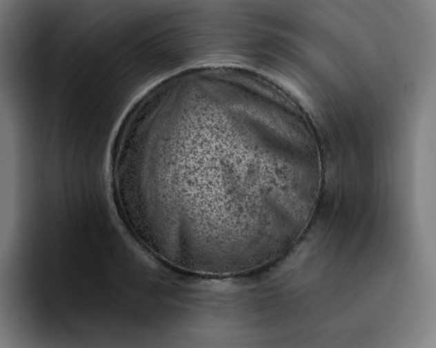 X0000093170990200710101209