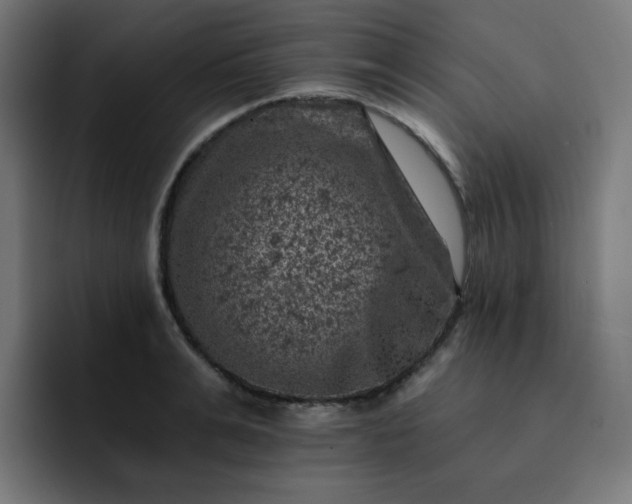 X0000093170991200710101209