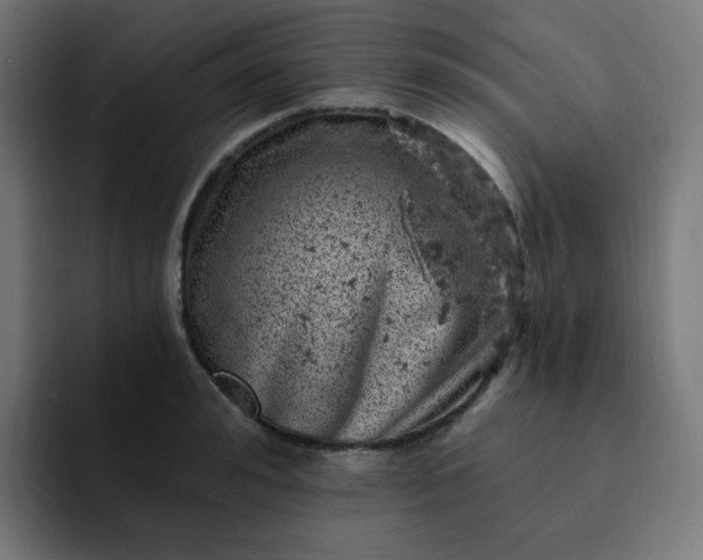 X0000093170992200710101209