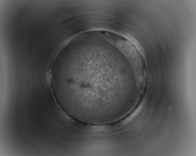 X0000093170993200710101209